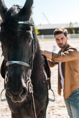 yakışıklı erkek Binicilik sabitleme at eyer Ranch'te seçici odak