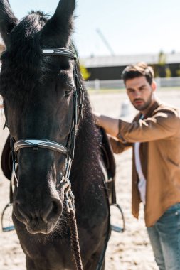 selective focus of handsome male equestrian fixing horse saddle at ranch clipart