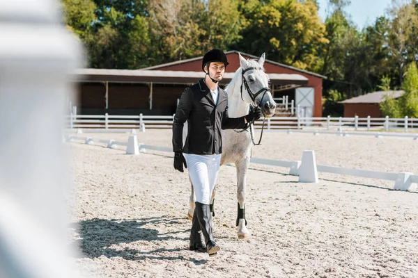 Bonito Masculino Equestre Andando Perto Cavalo Cavalo Clube — Fotografia de Stock Grátis