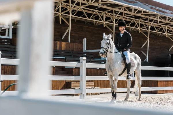 Zobacz Przez Płot Konia Przystojny Mężczyzna Jazda Equestrian Club Konia — Zdjęcie stockowe
