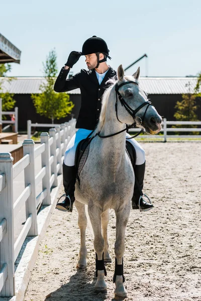 Kuda Berkuda Jantan Yang Tampan Klub Kuda Dan Memakai Helm — Stok Foto