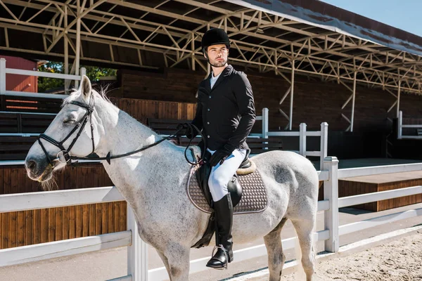 Bonito Masculino Equestre Equestre Equitação Branco Cavalo Cavalo Clube — Fotografia de Stock