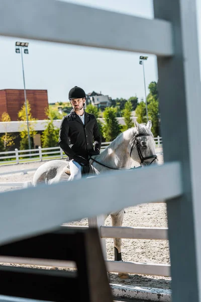 Kijk Door Het Hek Knappe Mannelijke Jockey Paardrijden Witte Paard — Gratis stockfoto