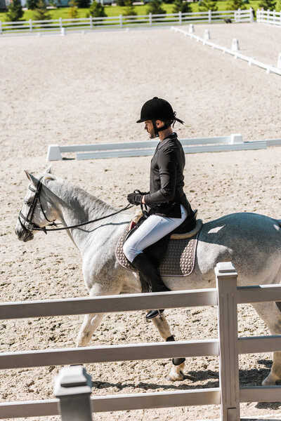 side view of handsome male equestrian in riding helmet, black jacket and white breeches riding horse at horse club