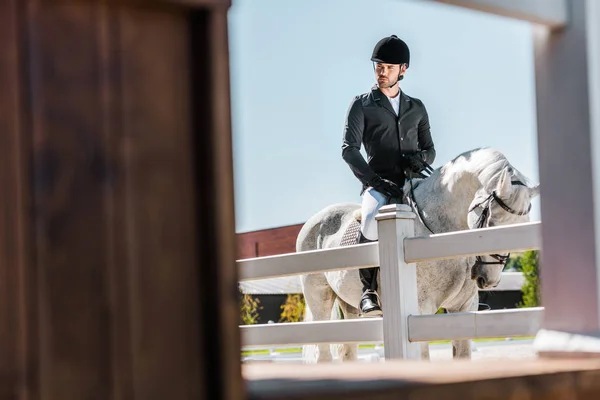 Vista Través Cerca Guapo Ecuestre Masculino Ropa Profesional Sentado Caballo —  Fotos de Stock