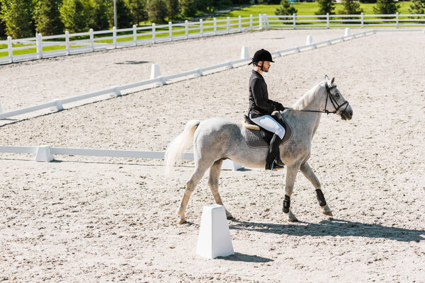 side view of handsome male equestrian riding white horse at ranch