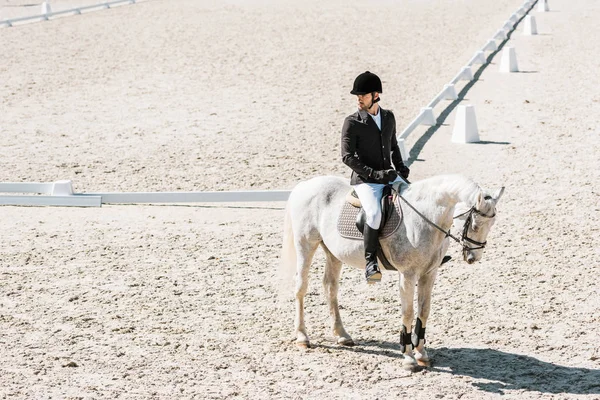 Zijaanzicht Van Knappe Mannelijke Paardensport Zitten Paard Paard Club — Stockfoto