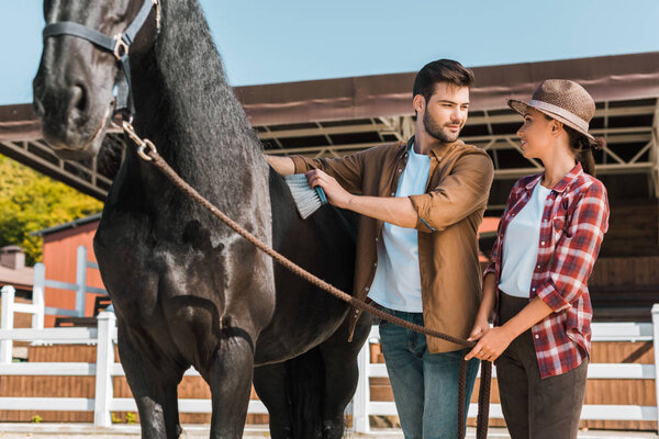 male equestrian cleaning black horse with brush at ranch and looking at colleague