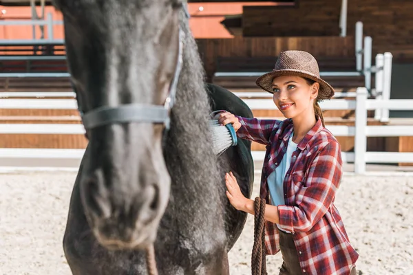 Cowgirl Atraente Limpeza Cavalo Preto Com Escova Rancho — Fotografia de Stock