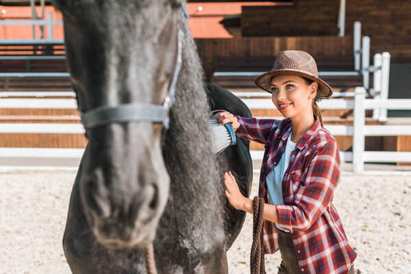 attractive cowgirl cleaning black horse with brush at ranch