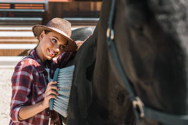 Hermoso Caballo Negro Limpieza Ecuestre Sonriente Con Cepillo Rancho — Foto de Stock