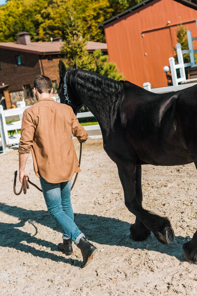 back view of cowboy walking with horse at horse club