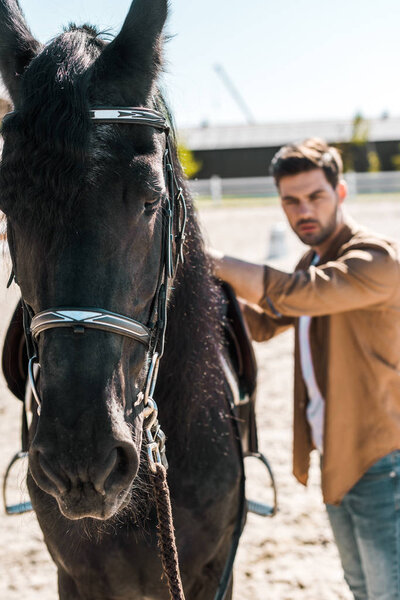 selective focus of handsome male equestrian fixing horse saddle at ranch