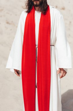 cropped image of Jesus in robe and red sash standing in desert clipart