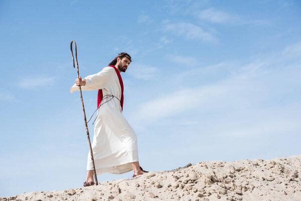 боковой вид на Иисуса в халате, красная лента и терновый венец, идущий по песчаному холму с деревянным посохом в пустыне
