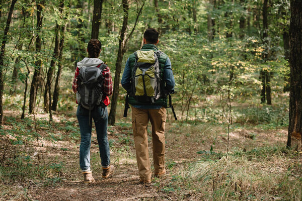 back view of couple of travelers with backpacks hiking in forest