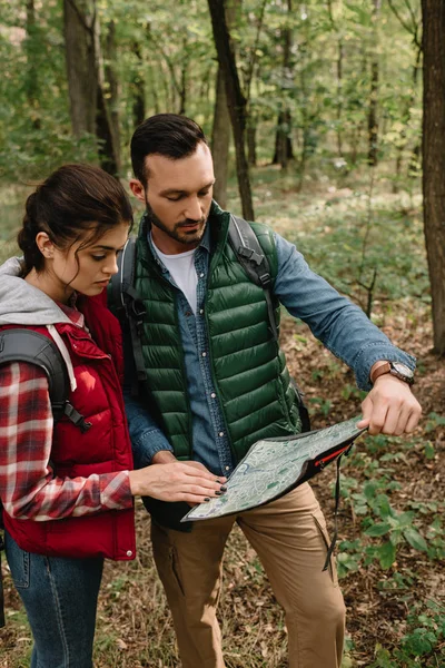 Homem Mulher Procura Destino Mapa Enquanto Caminhando Floresta Juntos — Fotos gratuitas