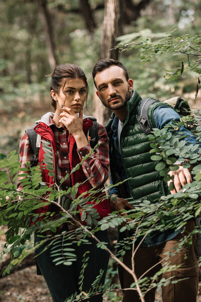 portrait of couple of young travelers with backpacks hiking in woods