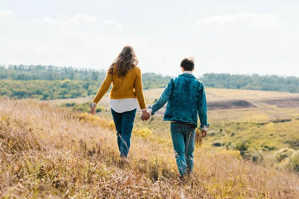 Rückansicht Des Paares Beim Spazierengehen Auf Der Bäuerlichen Wiese — Stockfoto