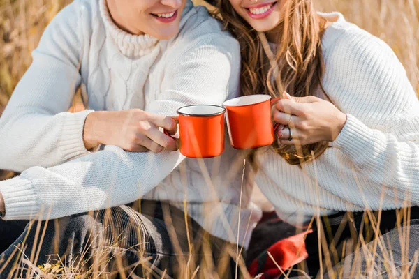 Vue Recadrée Jeunes Couples Tenant Des Tasses Sur Prairie Rurale — Photo