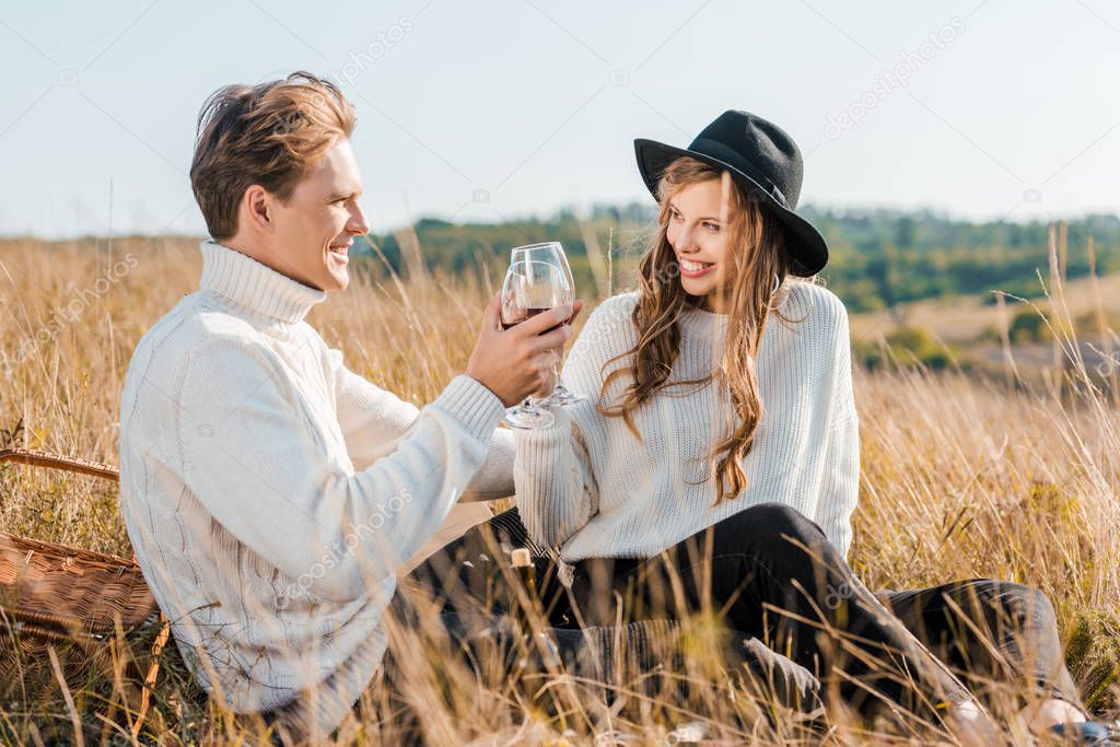 young couple clinking with glasses of red wine and looking at each other during picnic on meadow