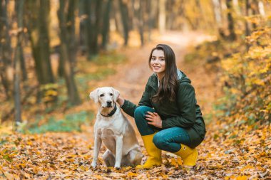selective focus of girl adjusting dog collar on golden retriever while sitting on leafy path in autumnal forest  clipart