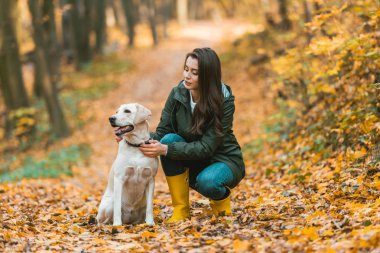 Genç kadın sonbahar ormandaki yapraklı yolu üzerinde otururken golden retriever köpek yaka ayarlama 