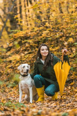 mutlu genç kadın ile köpek sonbahar ormandaki sarı şemsiye siting ile 