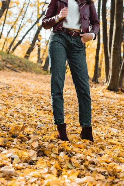 Обрезанный Образ Модной Женщины Джинсах Кожаной Куртке Позирующей Осеннем Парке — Бесплатное стоковое фото