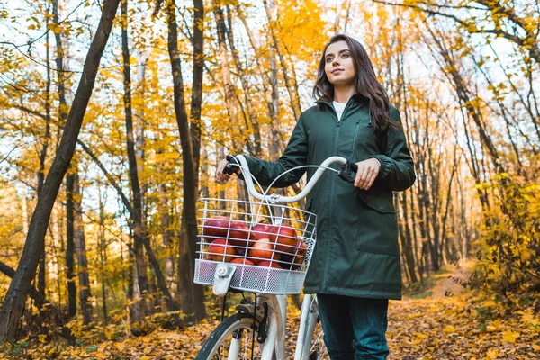 黄色の紅葉の森の中のりんごがいっぱい入ったかご付き自転車を運ぶ若い女性の低角度表示 — ストック写真