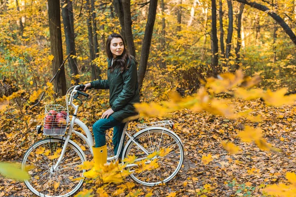 黄色の紅葉の森の中のりんごがいっぱい入ったかごを自転車の上に座って陽気な若い女性 — ストック写真