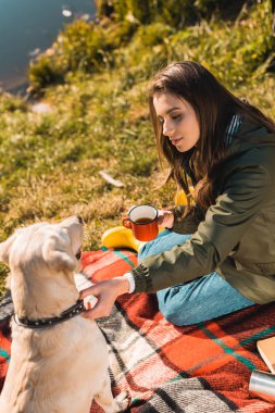 young woman with coffee cup sitting on blanket and adjusting dog collar on golden retriever in park clipart