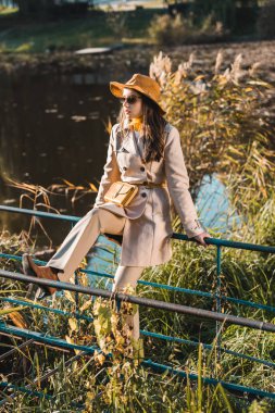 fashionable woman in sunglasses, trench coat and hat sitting on railing near pond  clipart