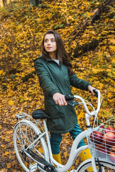 黄色の紅葉の森の中のりんごがいっぱい入ったかご付き自転車を運ぶ若い女性  — 無料ストックフォト