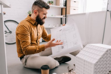 Blueprint tutarak ve Office proje üzerinde kızgın sakallı yetişkin erkek mimar 