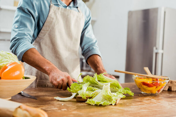 cropped shot of young man in apron cutting vegetables in kitchen