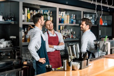 neşeli mutlu yakışıklı barmen işyerinde konuşurken önlük içinde 