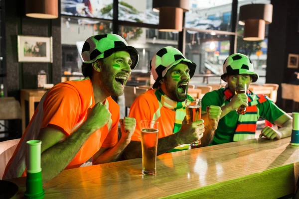 Fãs Futebol Assistindo Jogo Torcendo Bar — Fotografia de Stock Grátis