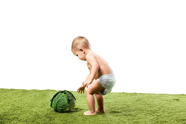 Toddler Chłopiec Stojący Zielony Dywan Przed Wielkim Kapusta Białym Tle — Zdjęcie stockowe