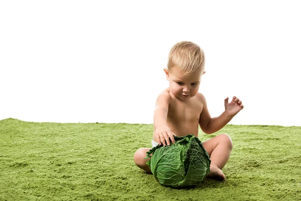 Toddler Boy Sitting Green Carpet Big Green Cabbage Isolated White — Stock Photo, Image