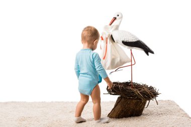 cute toddler boy in blue bodysuit standing on carpet and looking at big decorative stork isolated on white clipart