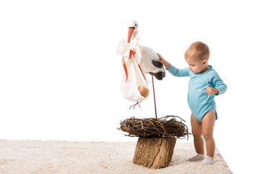 cute toddler boy in blue bodysuit standing on carpet and touching decorative stork isolated on white clipart
