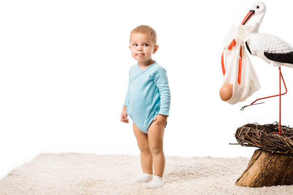 cute toddler boy in blue bodysuit standing on carpet near big decorative stork in nest isolated on white