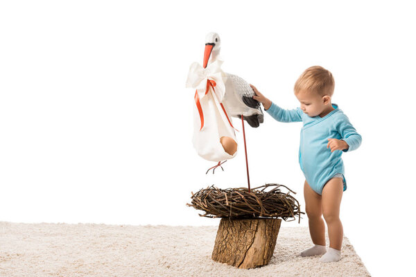 cute toddler boy in blue bodysuit standing on carpet and touching decorative stork isolated on white