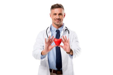 doctor in white coat with stethoscope looking at camera and holding heart model in hands isolated on white, heart healthcare concept clipart