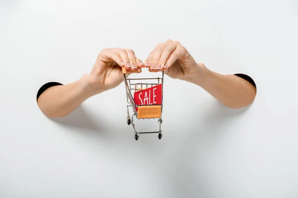 Imagen Recortada Niña Sosteniendo Pequeño Carrito Compras Con Venta Signo — Foto de Stock