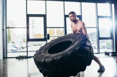 yakışıklı kaslı sporcu lastik içinde jimnastik salonu kaldırma 
