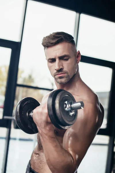 Deportista Atlético Sin Camisa Entrenamiento Con Mancuerna Gimnasio — Foto de stock gratuita