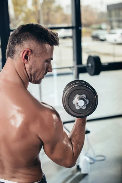 Back View Handsome Shirtless Sportsman Training Dumbbell Gym — Free Stock Photo