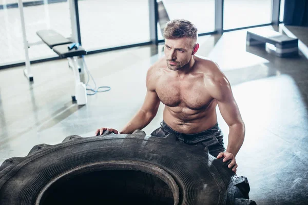 Hochwinkelaufnahme Eines Gutaussehenden Hemdlosen Sportlers Beim Reifenheben Fitnessstudio — kostenloses Stockfoto
